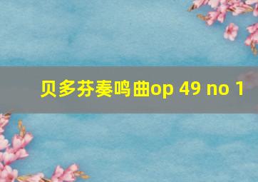 贝多芬奏鸣曲op 49 no 1